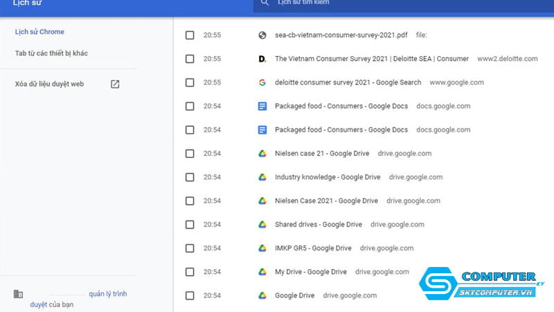 lich-su-trinh-duyet-dang-ngo-skycomputer