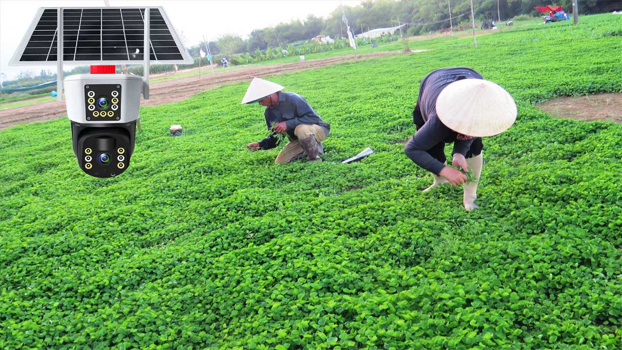 camera-yoosee-2-mat-dung-sim-4g-su-dung-nang-luong-mat-troi-3