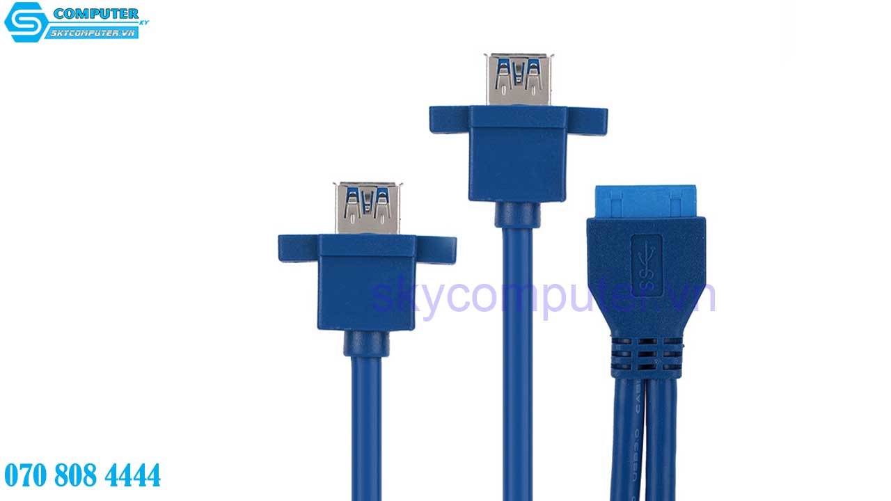 cap-20pin-to-2-usb-3-0-chan-cai-bat-vit-0-3m-3