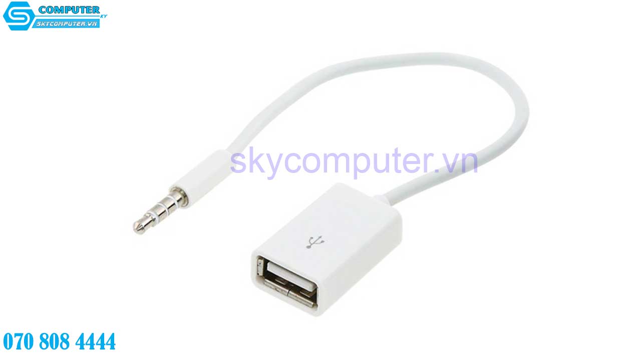 cap-3-5mm-aux-audio-sang-usb-chan-cai-4