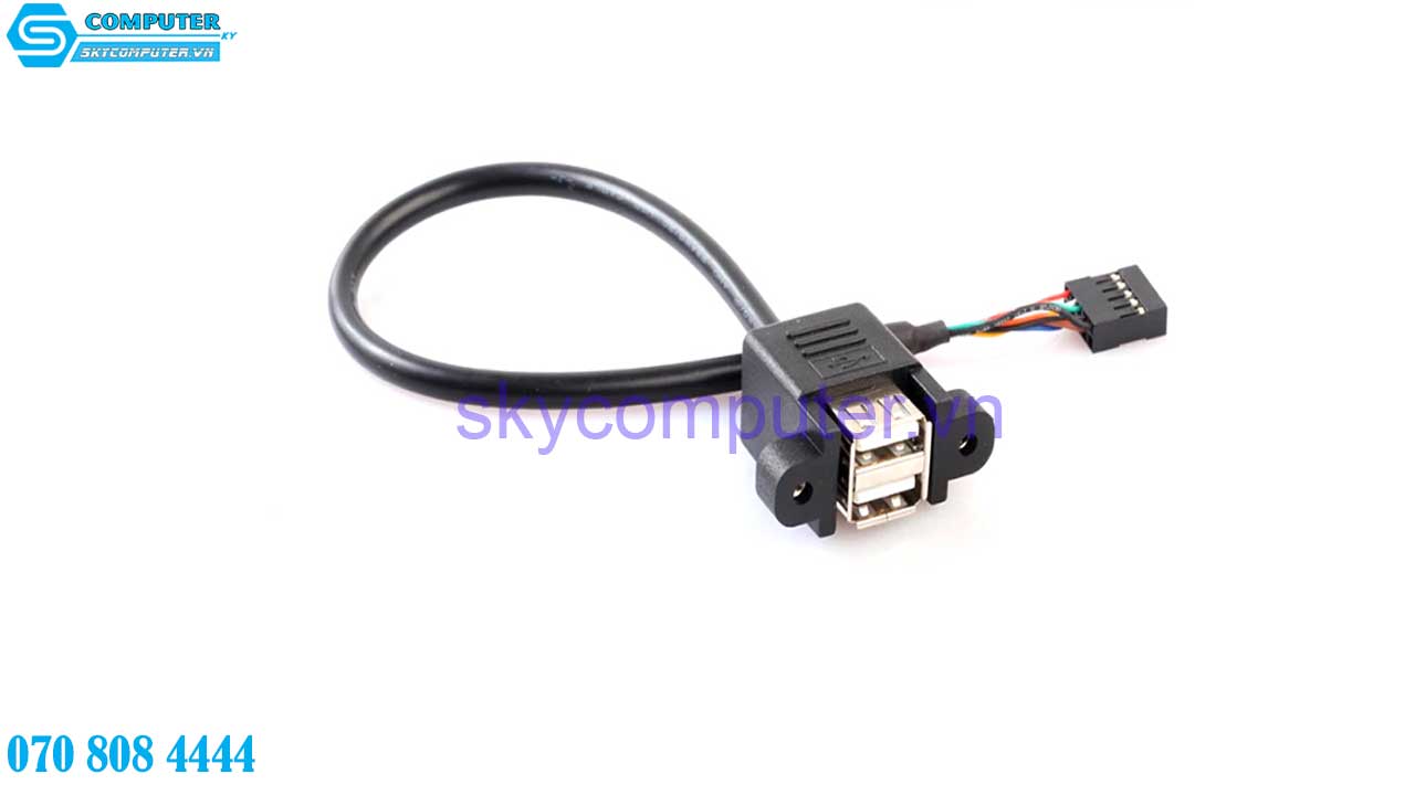 cap-9pin-female-mainboard-to-2-usb-female-dai-0-5m-3