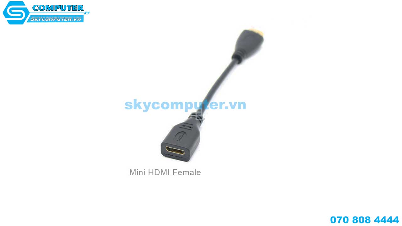 cap-chuyen-doi-hdmi-to-mini-hdmi-female-chan-cai-6