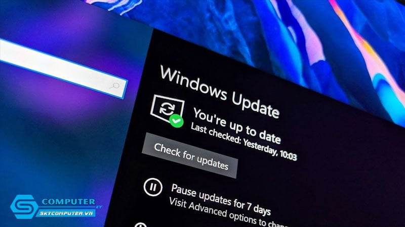cap-nhat-driver-may-tinh-bang-windows-update-skycomputer