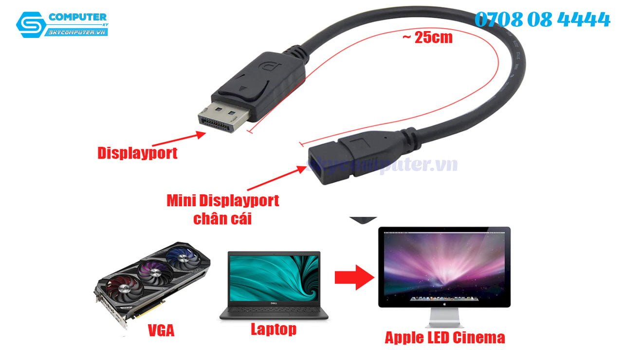 dau-chuyen-doi-displayport-sang-mini-displayport-chan-cai3