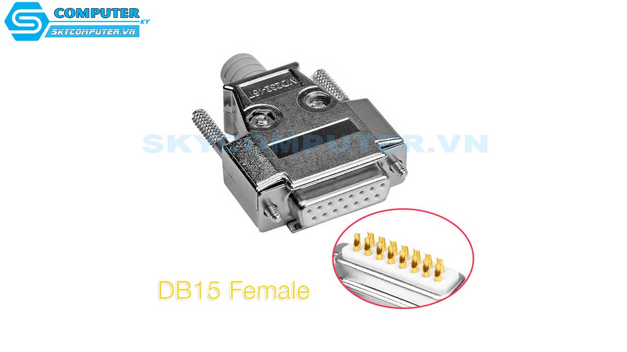 dau-han-db15-female-ma-vang-kem-vo-op-kim-loai-2
