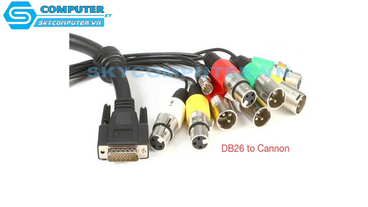 dau-han-db26-female-ma-vang-vo-op-kim-loai