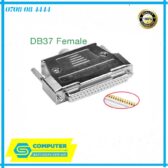 dau-han-db37-famale-ma-vang-kem-vo-op-kim-loai-1