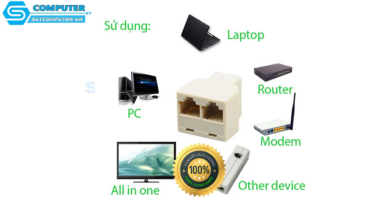 dau-noi-day-mang-lan-rj45-1-ra-2-3
