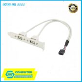 day-cap-chuyen-doi-usb-9-pin-mainboard-ra-2-usb-2-0-1