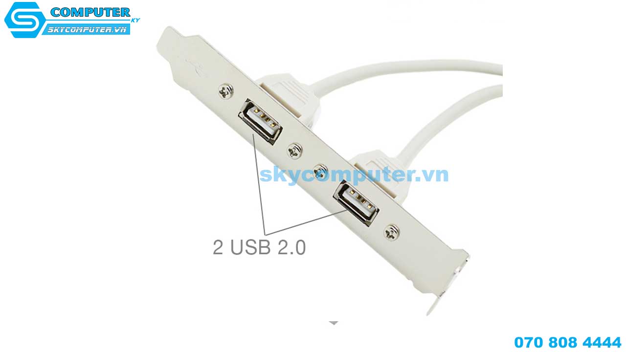 day-cap-chuyen-doi-usb-9-pin-mainboard-ra-2-usb-2-0-2