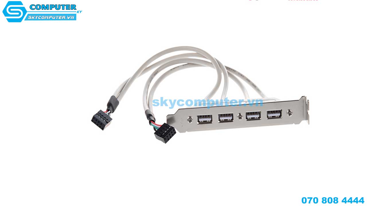 day-cap-chuyen-doi-usb-9-pin-mainboard-ra-4-usb-2-0-2