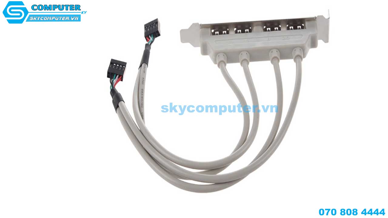 day-cap-chuyen-doi-usb-9-pin-mainboard-ra-4-usb-2-0-3