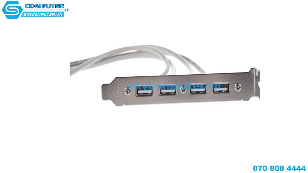 day-cap-chuyen-doi-usb-9-pin-mainboard-ra-4-usb-2-0-4