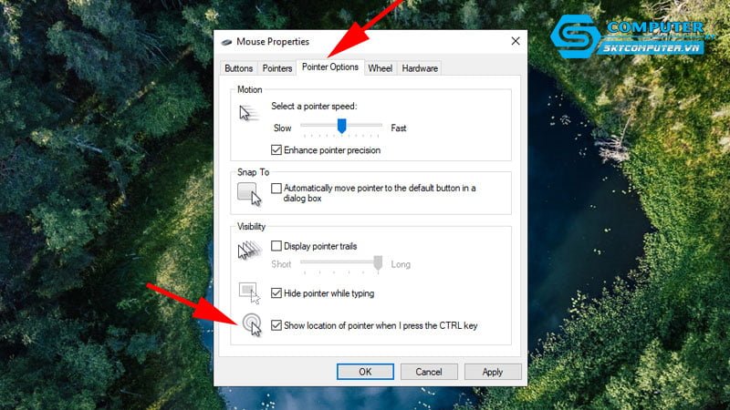 kich-hoat-con-tro-chuot-skycomputer