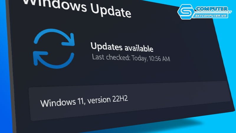 nhung-thong-bao-thuong-gap-khi-cap-nhat-windows-skycomputer