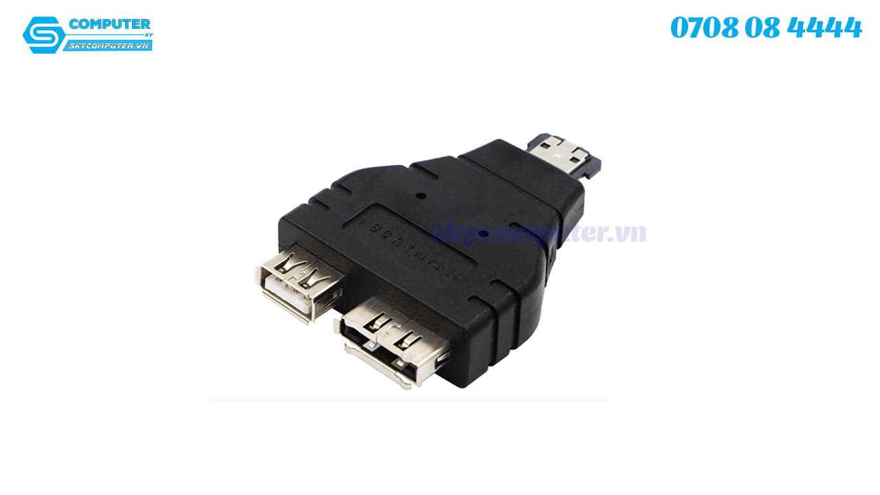 adapter-power-esata-sang-usb-2-0-esata2