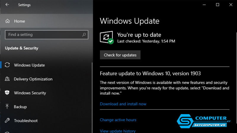 De-dang-cap-nhat-phien-ban-skycomputer