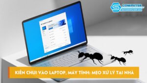 kien-chui-vao-laptop-may-tinh-meo-xu-ly-tai-nha-thanh-cong-skycomputer