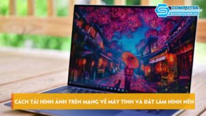 Cach-tai-hinh-anh-tren-mang-ve-may-tinh-va-dat-lam-hinh-nen-skycomputer