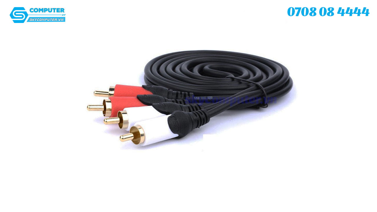cap-audio-av-rca-2-dau-hoa-sen-dai-10m1