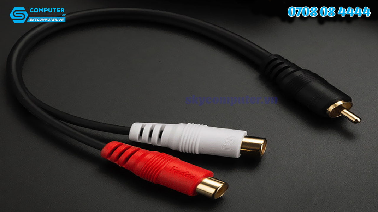 cap-chia-am-thanh-audio-rca-1-ra-23