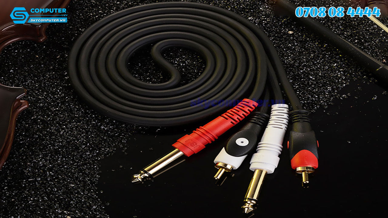 cap-loa-2-av-6-35mm-sang-2-rca-dai-1-5m2