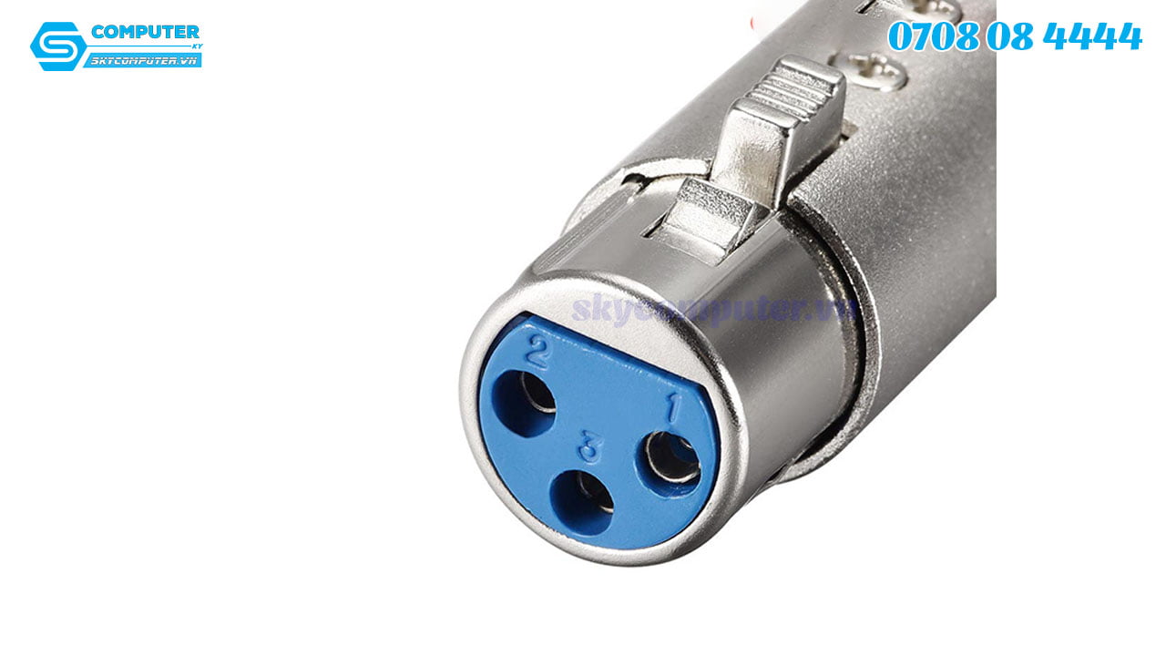 dau-chuyen-doi-cannon-xlr-cai-sang-av-rca-duc1