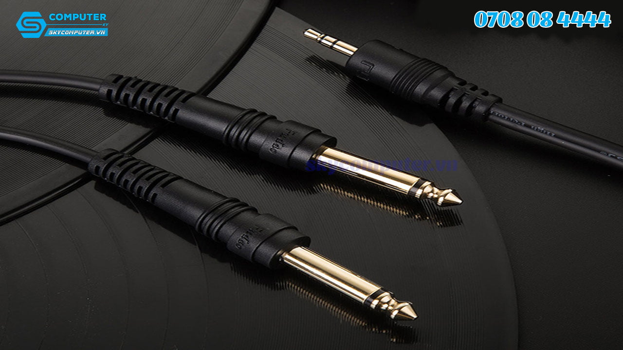 day-cap-audio-3-5mm-ra-2-dau-6-35mm-dai-10m2