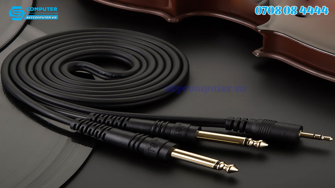 day-cap-audio-3-5mm-ra-2-dau-6-35mm-dai-10m3