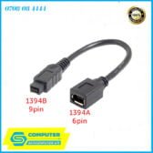 Day-cap-chuyen-doi-1394a-chan-cai-sang-1394b-duc