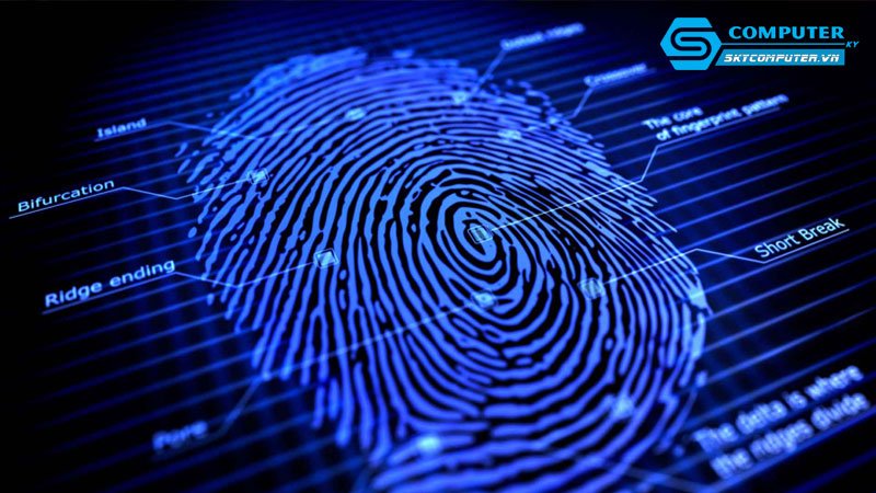 Hieu-qua-cua-viec-dang-nhap-windows-10-bang-dau-van-tay-tren-may-tinh-skycomputer