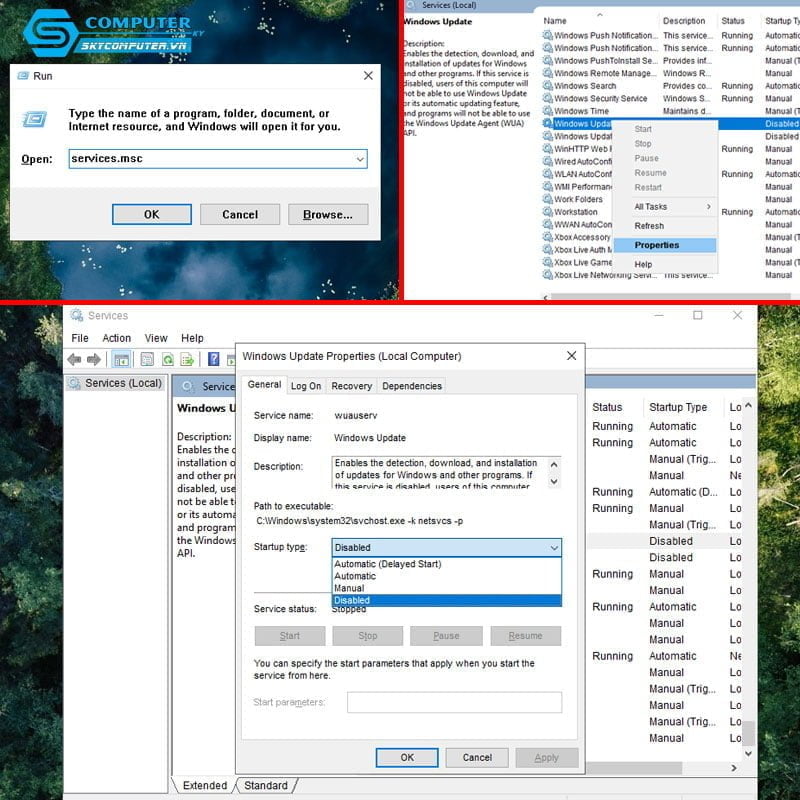 Vo-hieu-hoa-update-bang-services-msc-skycomputer