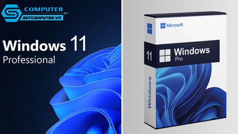 Ai-nen-chon-windows-11-pro-1