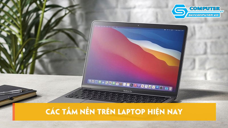 Cac-tam-nen-tren-laptop-hien-nay-uu-nhuoc-diem-cua-tung-loai-skycomputer