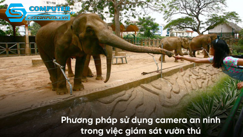 Cach-thuc-ma-camera-cctv-co-the-ho-tro-trong-viec-bao-ve-dong-vat-hoang-da-0