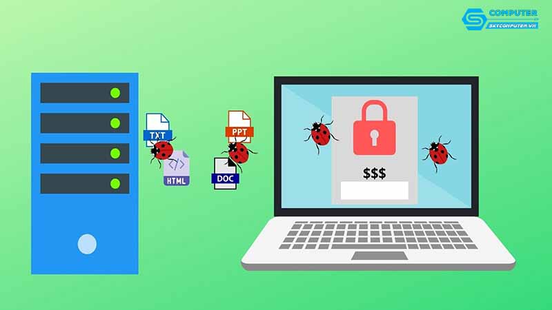 Lam-sao-de-cai-dat-phan-mem-diet-virus-tren-may-tinh