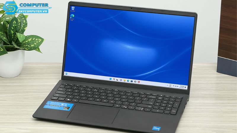 Laptop-cai-san-office