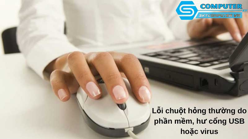 May-tinh-cua-toi-khong-nhan-chuot-toi-phai-lam-gi-1