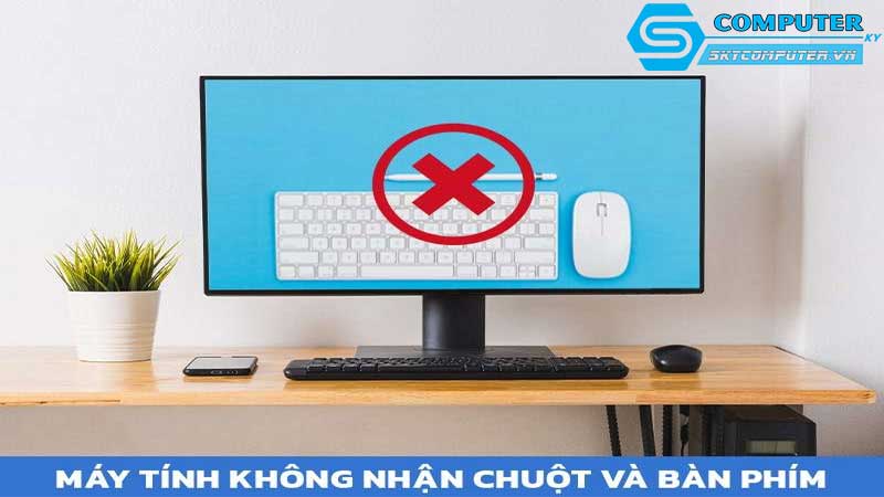 May-tinh-cua-toi-khong-nhan-chuot-toi-phai-lam-gi