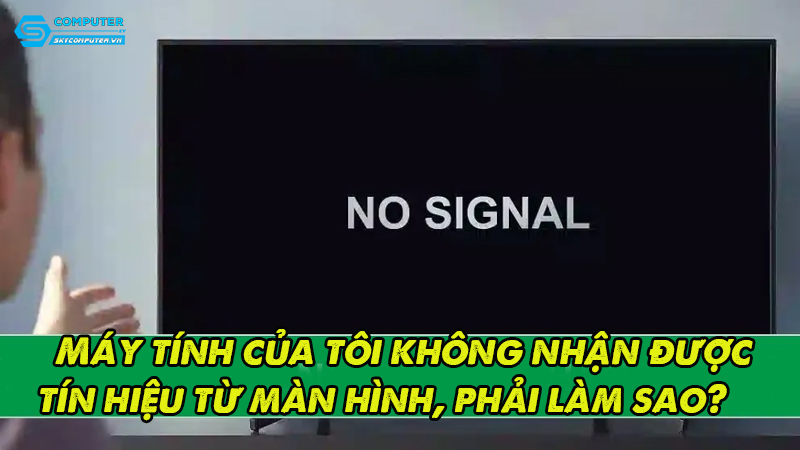 May-tinh-cua-toi-khong-nhan-duoc-tin-hieu-tu-man-hinh-phai-lam-sao-1