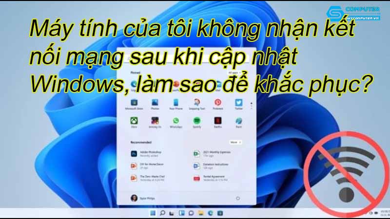 May-tinh-cua-toi-khong-nhan-ket-noi-mang-sau-khi-cap-nhat-windows-lam-sao-de-khac-phuc