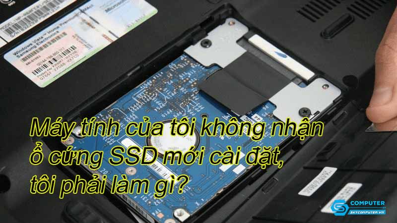 May-tinh-cua-toi-khong-nhan-o-cung-ssd-moi-cai-dat-toi-phai-lam-gi