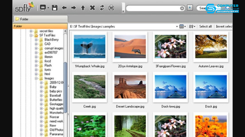 May-tinh-cua-toi-khong-the-mo-cac-file-anh-toi-phai-lam-gi-1