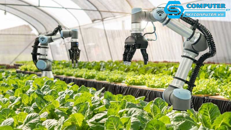 May-tinh-de-ban-trong-nganh-cong-nghiep-thuc-pham-va-nong-nghiep