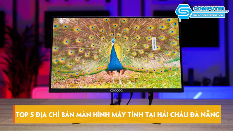 Top-5-dia-chi-ban-man-hinh-may-tinh-tai-hai-chau-da-nang-gia-tot-nhat-skycomputer