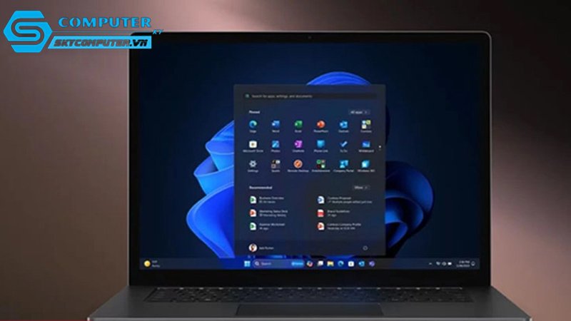 Vi-sao-nguoi-dung-chuyen-nghiep-thuong-chon-windows-pro-2