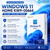 Windows-11-home-kw9-00664-chinh-hang-key-esd-kich-hoat-online