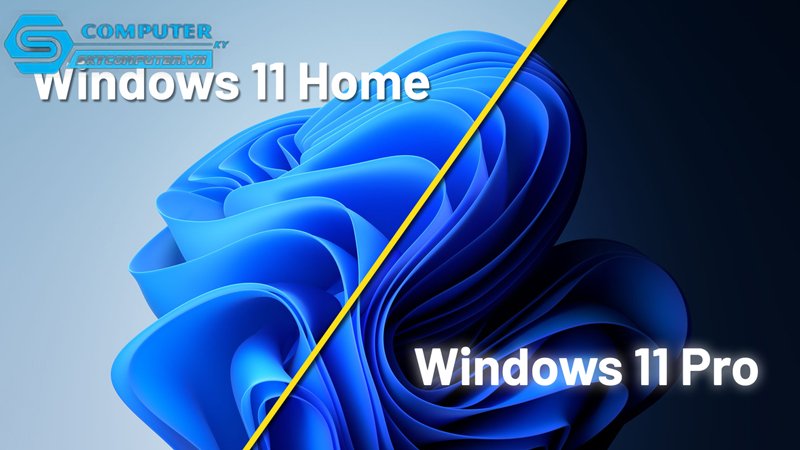 Windows-11-pro-khac-gi-so-voi-windows-11-home-2